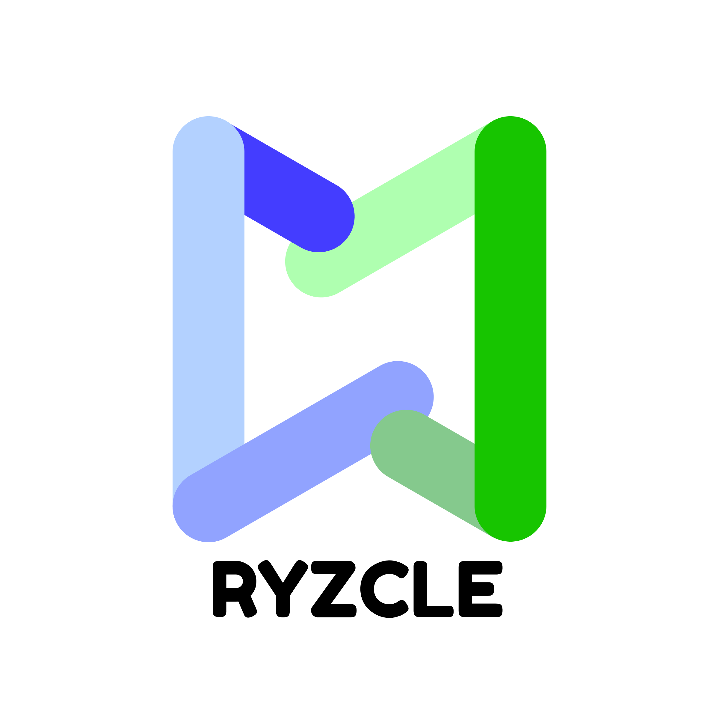 Ryzcle Corp